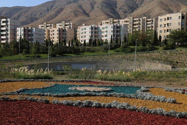چیپس درختی به جای چمن کاری در منطقه22 چیپس درختی به جای چمن کاری در منطقه 22