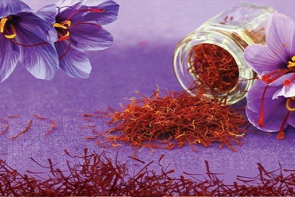 خراسان رضوی، دارای رتبه نخست تولید زعفران و تخم شربتی در کشور خراسان رضوی، دارای رتبه نخست فراوری زعفران و تخم شربتی در کشور