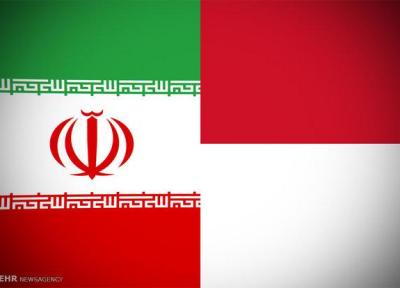 3 توافق نفتی تهران-جاکارتا، ایرانی ها در اندونزی نیروگاه ساز شدند