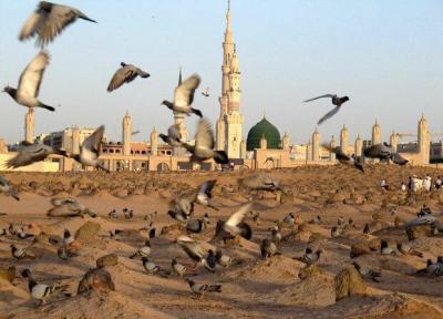 عربستان سعودی باید قبرستان بقیع را بازسازی کند
