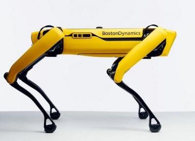 استخدام سگ رباتیک برای برقراری امنیت