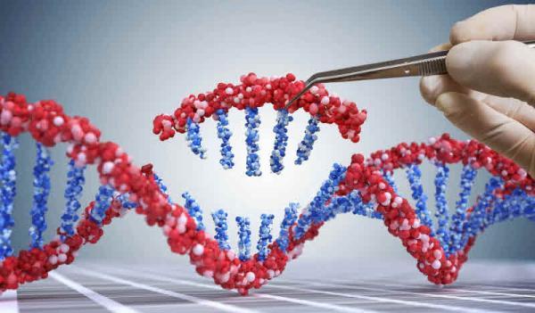 سیستم نو ویرایش ژن CRISPR : برش ملایم ؛ دقیق و تک رشته ای DNA این ابزار را دقیق تر می نماید