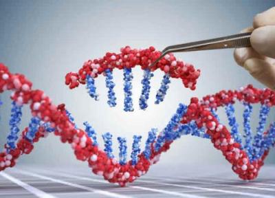 سیستم نو ویرایش ژن CRISPR : برش ملایم ؛ دقیق و تک رشته ای DNA این ابزار را دقیق تر می نماید
