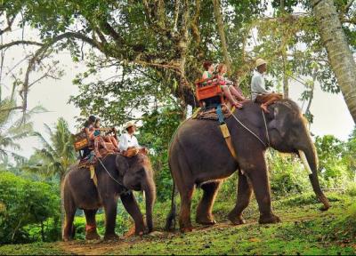 دهکده فیل ها در پاتایا ، تایلند پاتایا Elephant Village